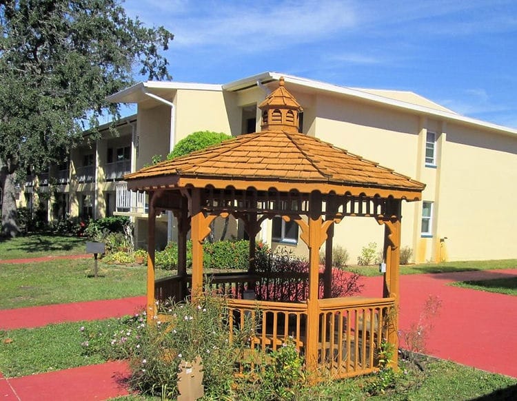 Wooden camellia in the park. Resting and picnic area in the park landscape